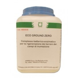 Eco Graund Zero